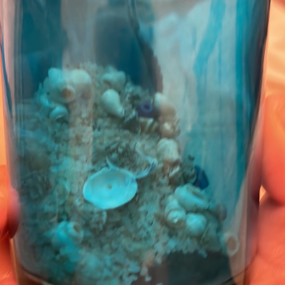 A bottle with sea shells and Crystal’s - Picture 3 of 4